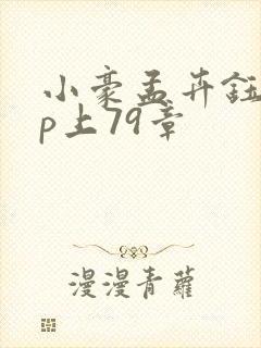 小豪孟卉钰慧三p上79章