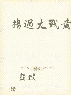 杨过大战黄蓉