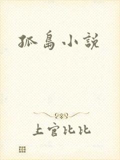 孤岛小说封面