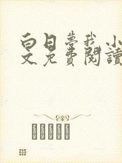 白日梦我小说全文免费阅读封面