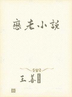 恋老小说