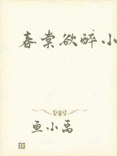 春棠欲醉小说