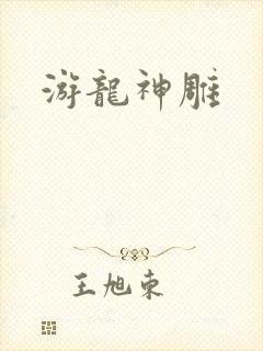 游龙神雕封面