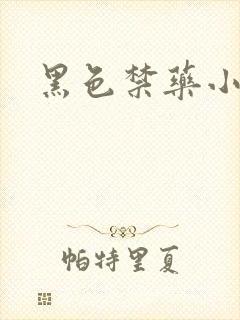 黑色禁药小说