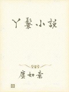 丫鬟小说