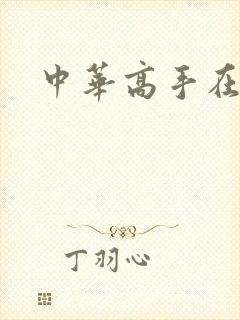 中华高手在异世封面