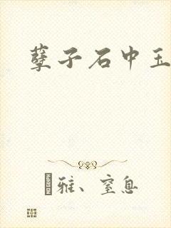 孽子石中玉