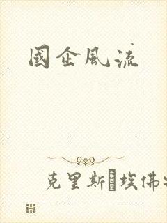 国企风流封面