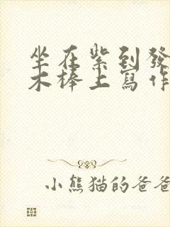 坐在紫到发黑的木棒上写作业