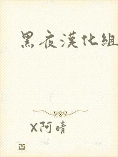 黑夜汉化组