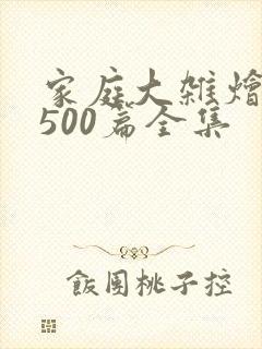 家庭大杂烩小说500篇全集
