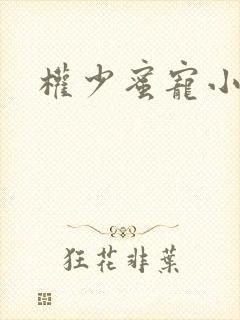 权少蜜宠小娇妻