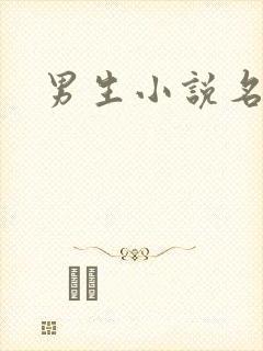 男生小说名字封面
