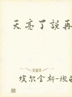 天亮了说再见封面