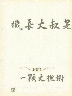 机长大叔是饿狼