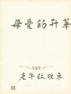 母爱的升华