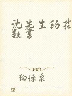 沈先生的花式调数书