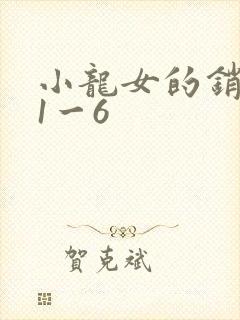 小龙女的销魂夜1一6封面
