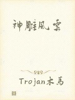 神雕风云