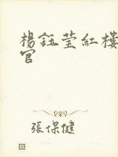 杨钰莹红楼醉高官封面