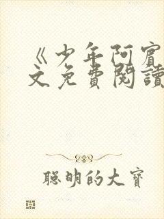 《少年阿宾》全文免费阅读封面