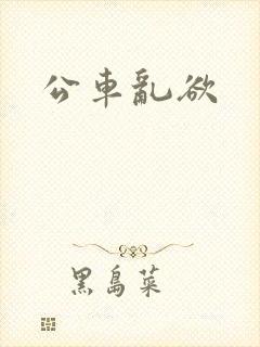 公车乱欲封面