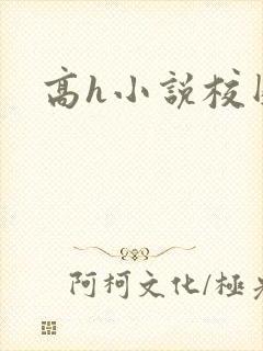 高h小说校园封面