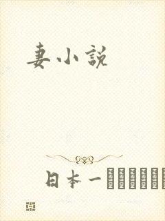 妻小说封面