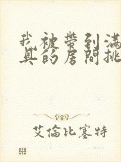 我被带到满是玩具的房间挑调作文