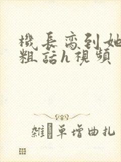 机长脔到她哭h粗话h视频