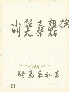 小说又想挨C了叫大声点