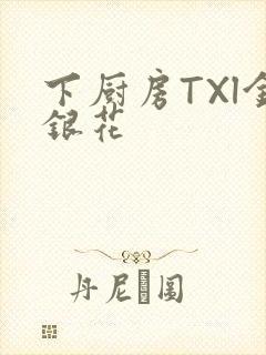 下厨房TXl金银花