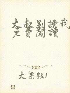 大叔别撩我小说免费阅读