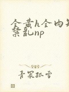 全黄h全肉短篇禁乱np封面