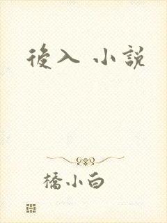 后入 小说封面