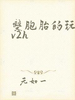 双胞胎的玩具1v2h