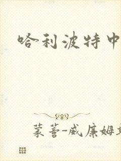 哈利波特中文版
