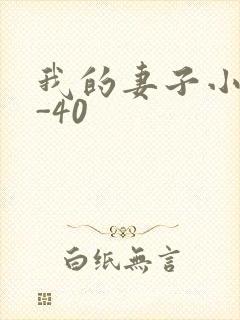 我的妻子小谨1-40