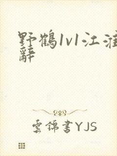 野鹤1v1江淮辞