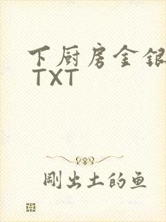 下厨房金银花露 TXT