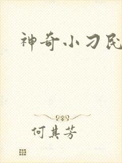 神奇小刁民