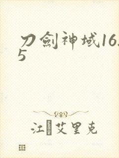 刀剑神域16.5