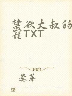 禁欲大叔的心尖宠TXT