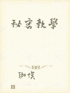 秘密教学封面