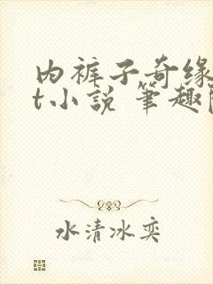 内裤子奇缘txt小说 笔趣阁