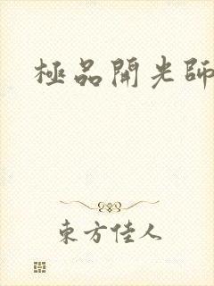 极品开光师封面