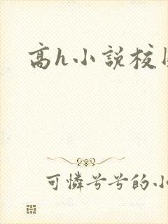 高h小说校园封面