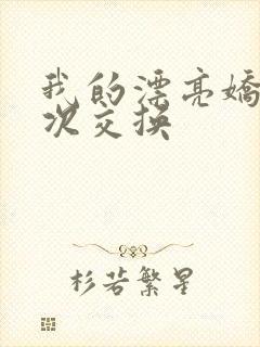 我的漂亮娇妻初次交换