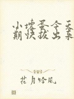 小坏蛋今天危险期快拔出来封面