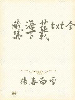 藏海花txt全集下载